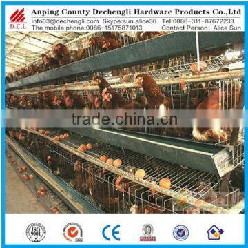 Hot dip galvanized cage for laying hens used