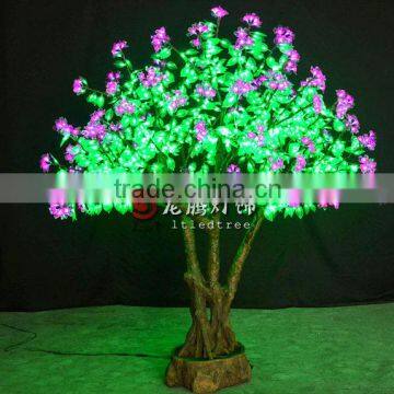 bonsai flowering cherry tree