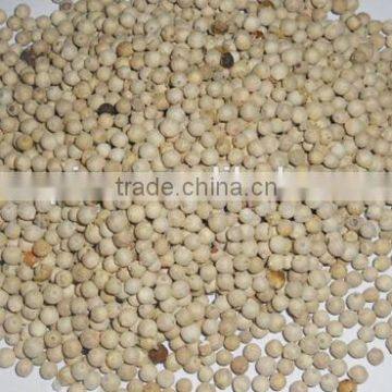 China Spicy White Pepper