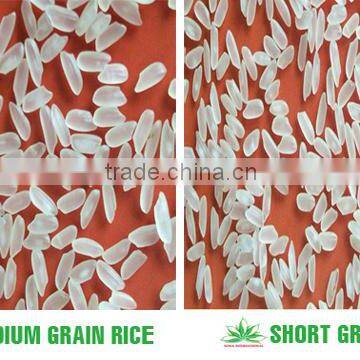 MEDIUM ROUND RICE 5% BROKEN - Reasonable Price