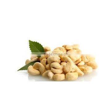 PRICE OF CASHEW NUT WW240