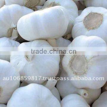 PURE WHITE GARLIC