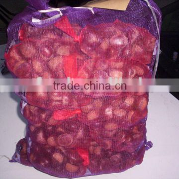 China Chestnut