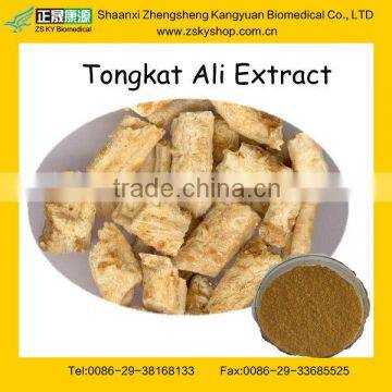 GMP Certified Manufacturer Supply Natural Tongkat Ali Root Extract