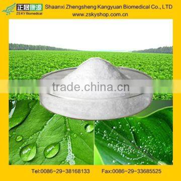 GMP Factory Supply Natural Stevia Leaf Extract