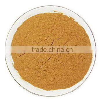 Calcium Lactate Green Tea Extract Powder, Tea Polyphenols 30%-98%, Green Tea Extract Egcg 90% for Weight Loss