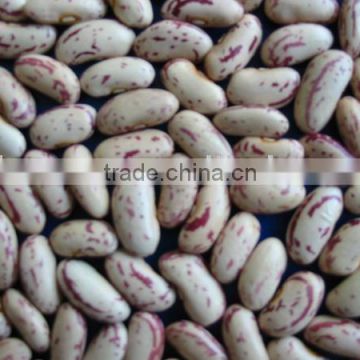 Light speckled kidney bean