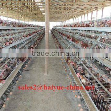 Supply Clearance Service Chicken Cage With Automatic Drinker And Install Team