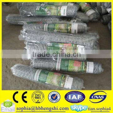 hexagonal wire Mesh, Hex wire Netting,Chicken Wire mesh