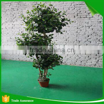 Mini Bonsai Artificial Ficus Ball Tree photo-4