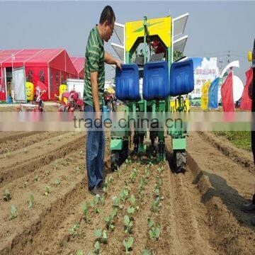 Chinese Onion Planter photo-6