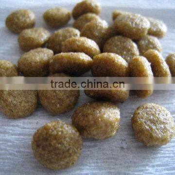 The Newest Discount Dog Cat Pet Food Manufacturing Machine photo-3