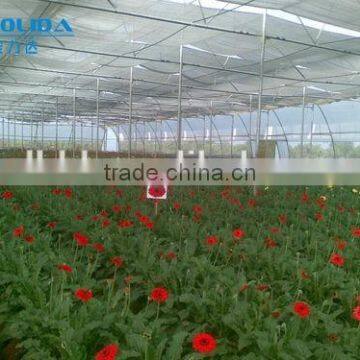 Multi Functional Vegetable Greenhouse Covered By Plastic Polythene Film photo-2