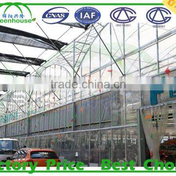 Garden Glass Greenhouse panels