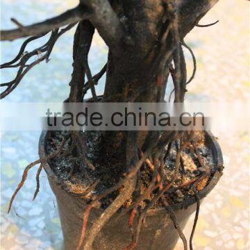 Long Branches Christmas Indoor Ornament Small Decorative Otted Pine Tree photo-2