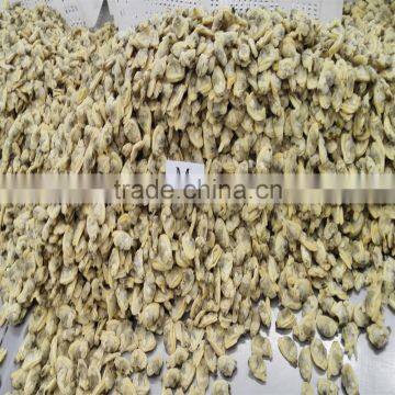 Boiled Baby Clam Nature Fresh FAO61