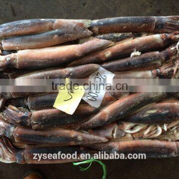 HACCP Frozen Cargo Argentine Squid by Glazing photo-3