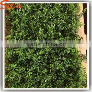 Popular Sale Home or Hotel Decoration Green Wall Vertical Garden Plastic Green Wall photo-5