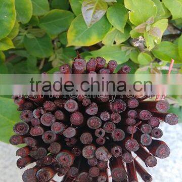 Dyed Different Colors Bamboo Sticks for Garden&agriculture