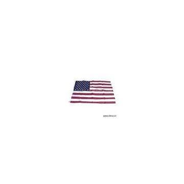 Sell 100% Polyester Flag