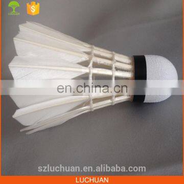 Wholesale Sporting Indonesia Badminton Outdoor Court