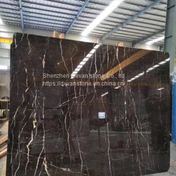 Portor Gold Marble Slabs & Floor Tiles for Bathroom photo-3