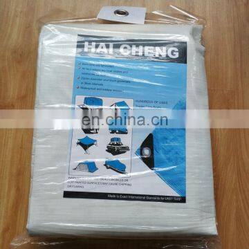 white color pe tarpaulin customizable size 3*4m 4*6m pe tarpaulin