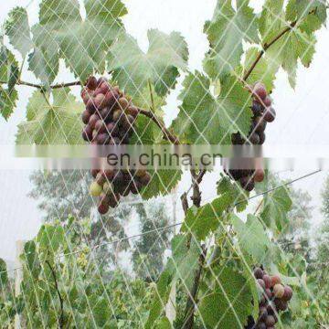 Competitive Price White Color Vineyard Bird Netting For Sale