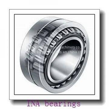 INA Bearing