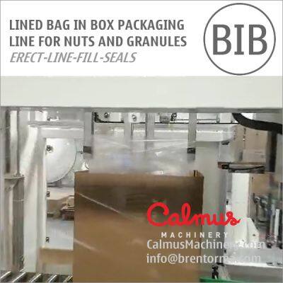 Carton Liner Bag in Box Line for Packaging Nuts and Granules photo-4