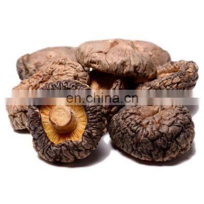 Organic Dried Shiitake Mushroom for Cooking/High Quality Flower Mushroom/Best Prices Dried Shiitake Mushroom From Vietnam photo-3
