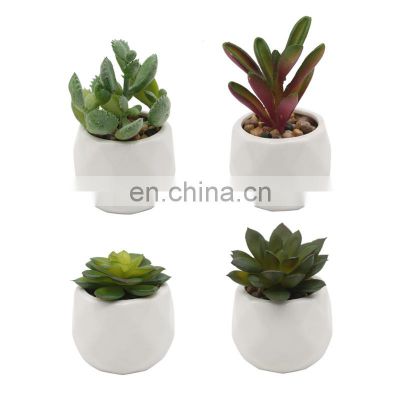 Wholesale Artificial Succulent Ceramic Pot Succulent Plants Potted Mini Succulent