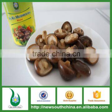 Canned Food Canned Shiitake Mushroom For Food Agent Wanted