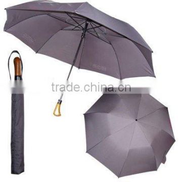 2 Fold Auto Open Golf Umbrella