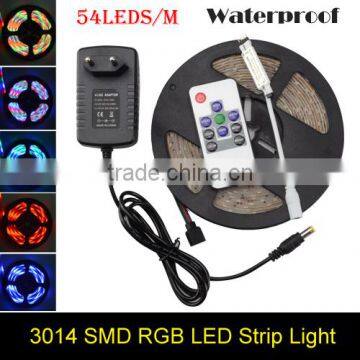 3014 LED Strip RGB 54Led/m Waterproof Led Diode Tape Ribbon + 10Key RF Controller + 2A Power Adapter For Home Garden Decoration