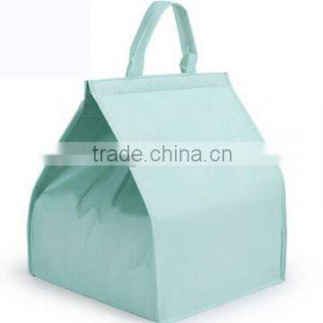 Ice Cream Cooler Bag