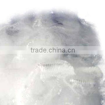 Polyester Staple Fiber