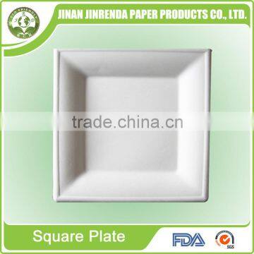 Disposable 8 inch paper plate