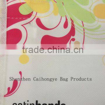 Small pp Laminated Non-woven Handle Bag photo-4