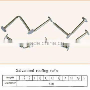 Galvanized roofing nail