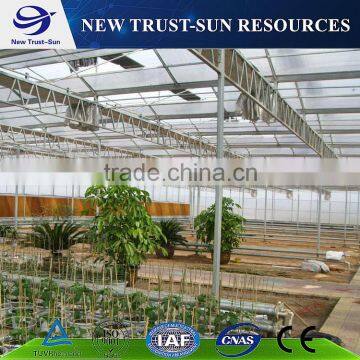 PC Sheet/board Hydroponic Agriculture Greenhouse for Commerical Use