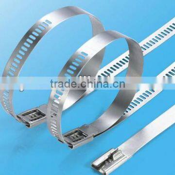 Uncoated SS 316 Stainless Steel Cable Ties High quality Hot selling Stainless Steel Ladder Multi Lock Cable Tie