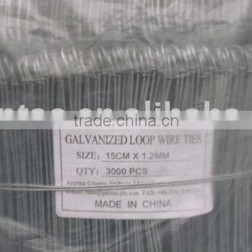 galvanized loop tie wire 1