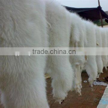 Genuine Animal Skin Raccoon Dog Fur / Real Natural Fur Skin / White Raccoon Skin photo-2