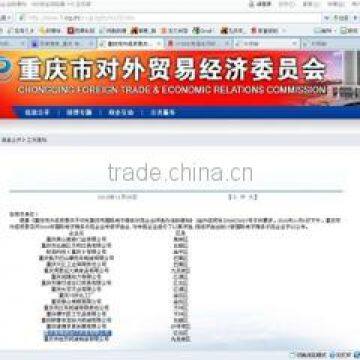 Model Enterprise of E-Commerce in 2010