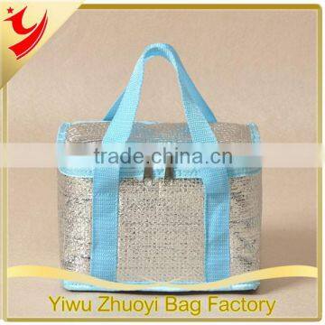 Shinning Alu Foam Food Cooler Bags with Double Zippers