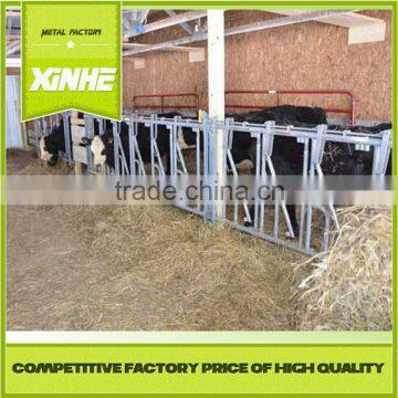 Grade one factory 10ft hot dip galvanized dairy cow headlock