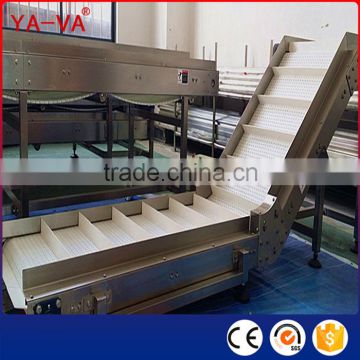 Food Grade Conveyor for Food Industry