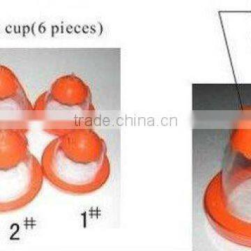 Newest Low Frequency Breast Enhancement Beauty Machine,Beauty Salon Equipment