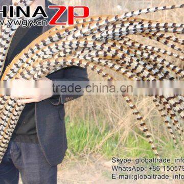 No.1 Supplier ZPDECOR Best Selling Cheap Large Natural 140-150cm Length Super Large Reeves Venery Pheasant Tail Feathers photo-3